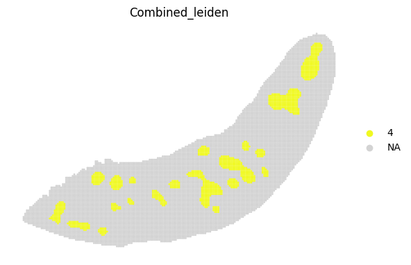 ../_images/notebooks_run_DIRAC_mouse_spleen_bin100_23_12.png