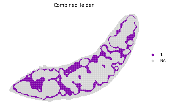 ../_images/notebooks_run_DIRAC_mouse_spleen_bin100_23_9.png