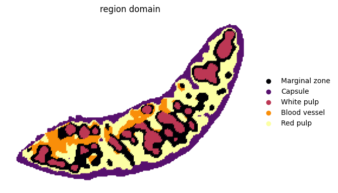 ../_images/notebooks_run_DIRAC_mouse_spleen_bin100_33_1.png