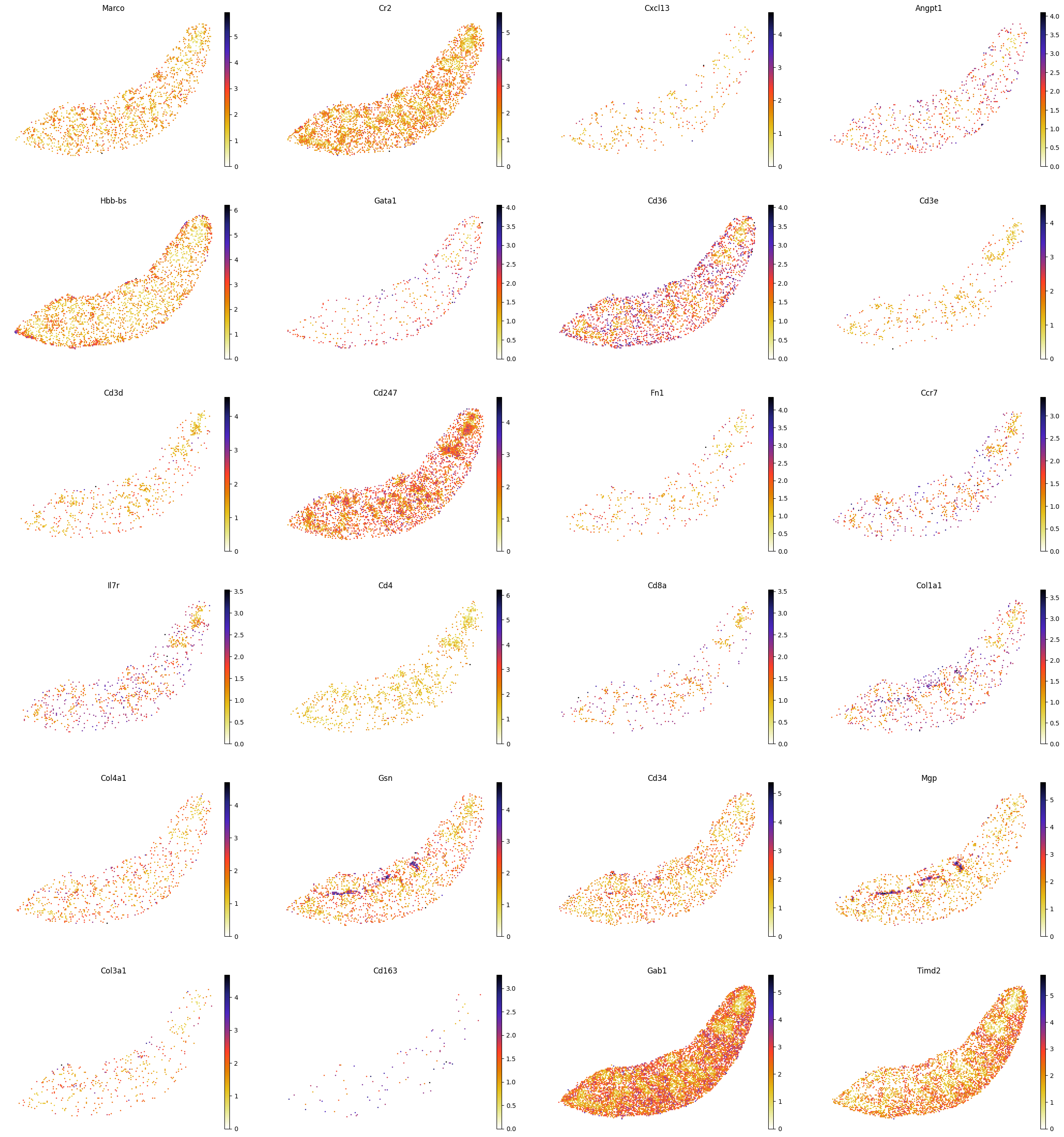 ../_images/notebooks_run_DIRAC_mouse_spleen_bin100_41_0.png