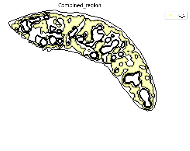../_images/notebooks_run_DIRAC_mouse_spleen_bin100_55_0.png