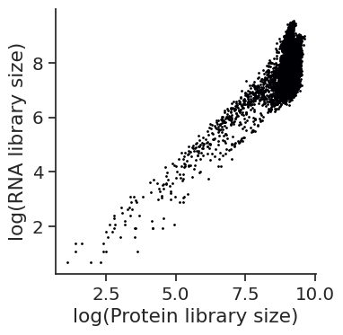 ../_images/notebooks_run_DIRAC_mouse_spleen_bin100_57_1.png