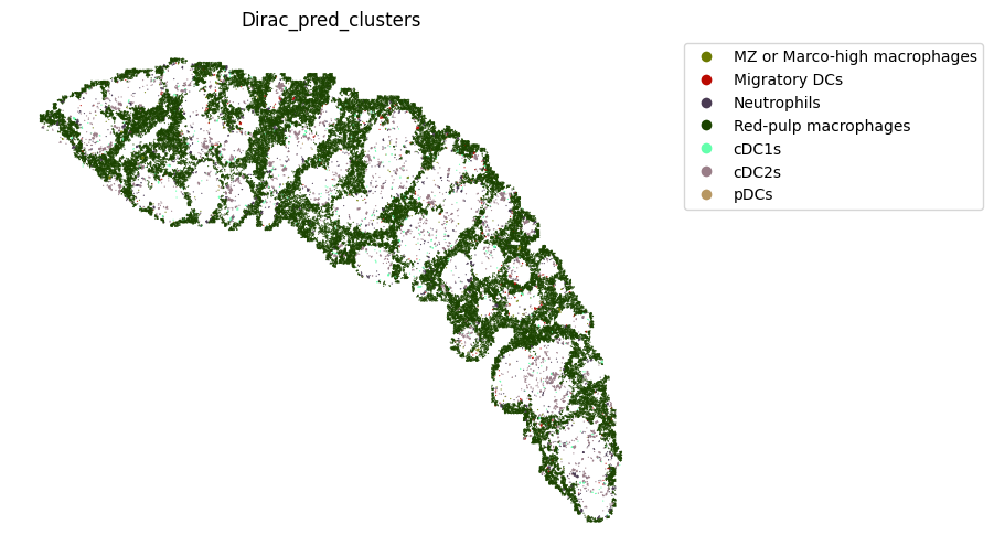 ../_images/notebooks_run_DIRAC_mouse_spleen_cellbin_26_4.png