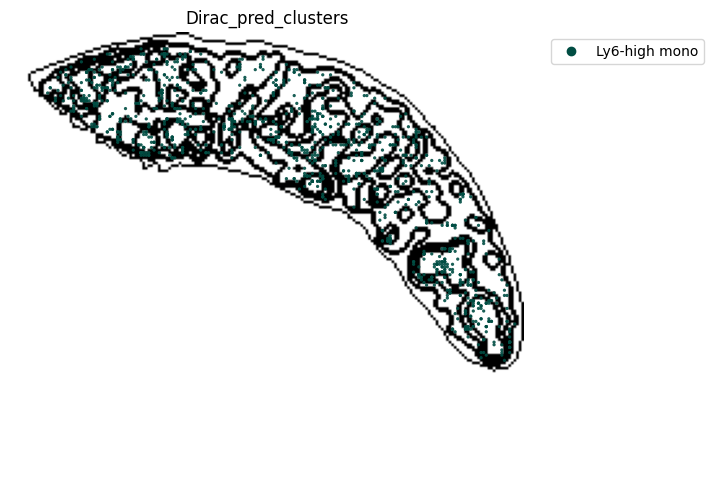 ../_images/notebooks_run_DIRAC_mouse_spleen_cellbin_29_18.png