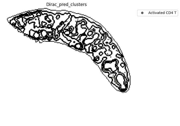 ../_images/notebooks_run_DIRAC_mouse_spleen_cellbin_29_19.png