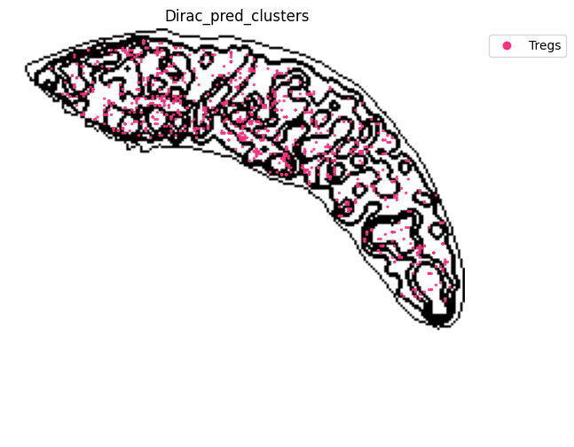 ../_images/notebooks_run_DIRAC_mouse_spleen_cellbin_29_24.png