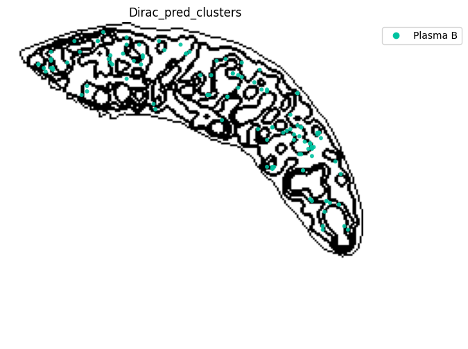 ../_images/notebooks_run_DIRAC_mouse_spleen_cellbin_29_26.png