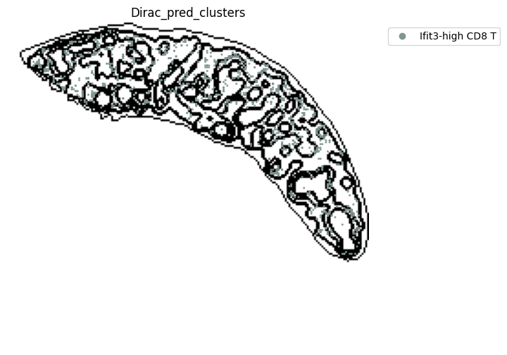 ../_images/notebooks_run_DIRAC_mouse_spleen_cellbin_29_3.png