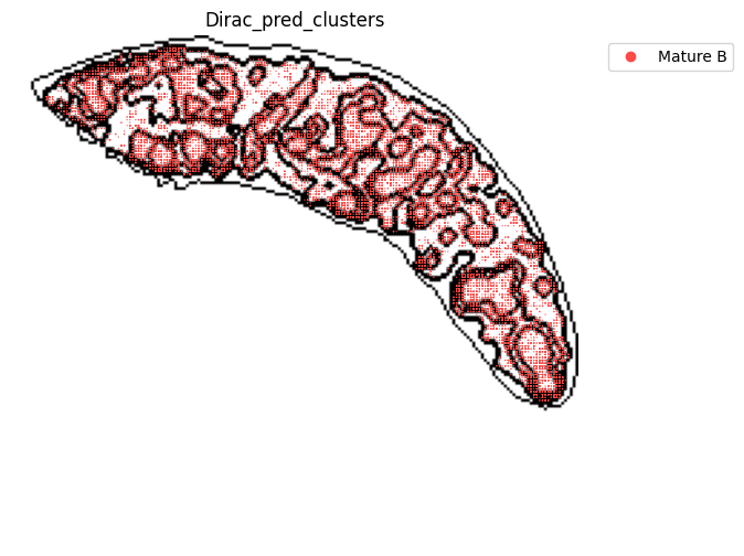 ../_images/notebooks_run_DIRAC_mouse_spleen_cellbin_29_4.png