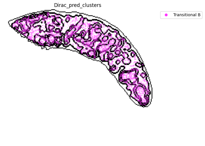../_images/notebooks_run_DIRAC_mouse_spleen_cellbin_29_7.png
