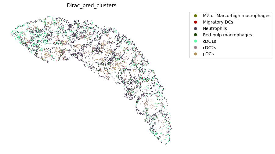 ../_images/notebooks_run_DIRAC_mouse_spleen_cellbin_40_4.png