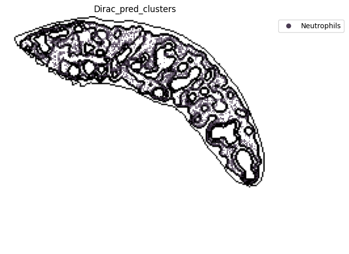 ../_images/notebooks_run_DIRAC_mouse_spleen_cellbin_41_10.png
