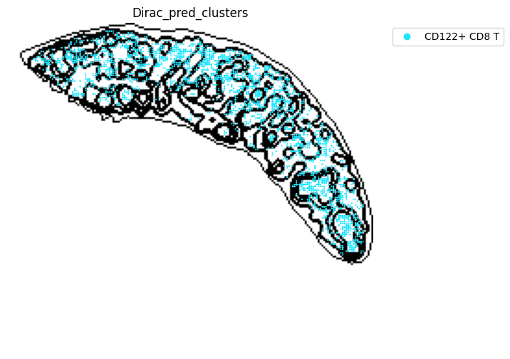 ../_images/notebooks_run_DIRAC_mouse_spleen_cellbin_41_11.png
