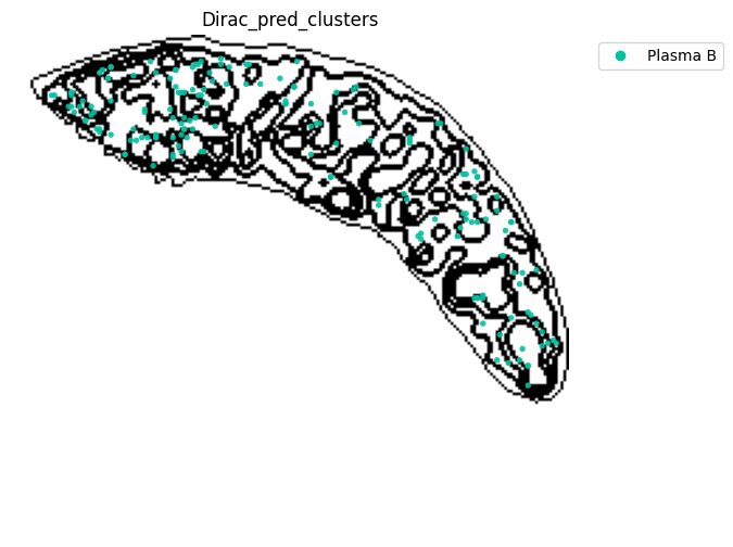 ../_images/notebooks_run_DIRAC_mouse_spleen_cellbin_41_13.png