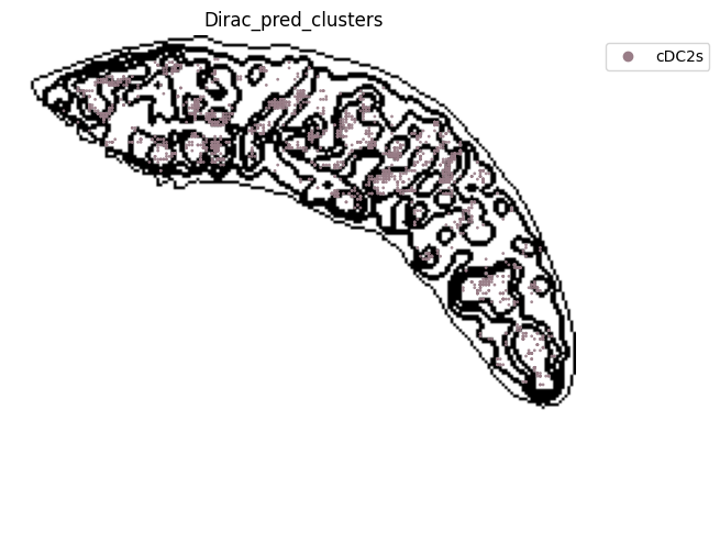 ../_images/notebooks_run_DIRAC_mouse_spleen_cellbin_41_17.png
