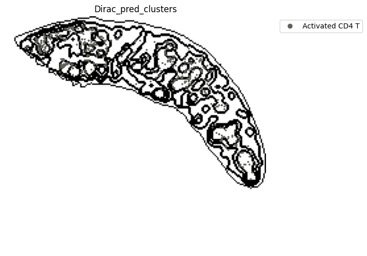 ../_images/notebooks_run_DIRAC_mouse_spleen_cellbin_41_20.png