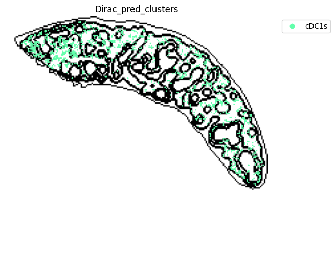 ../_images/notebooks_run_DIRAC_mouse_spleen_cellbin_41_8.png