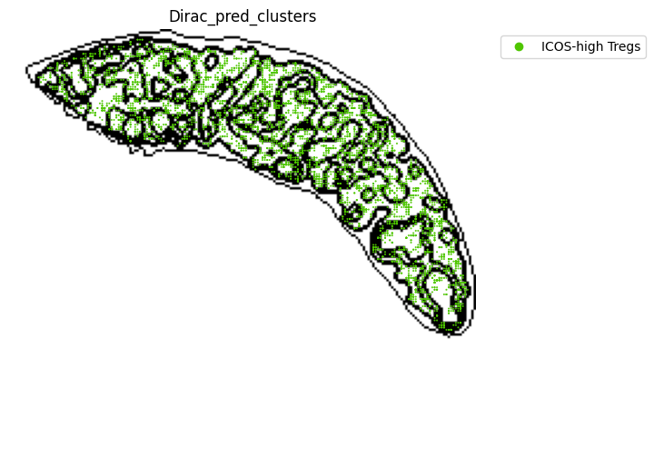 ../_images/notebooks_run_DIRAC_mouse_spleen_cellbin_50_11.png