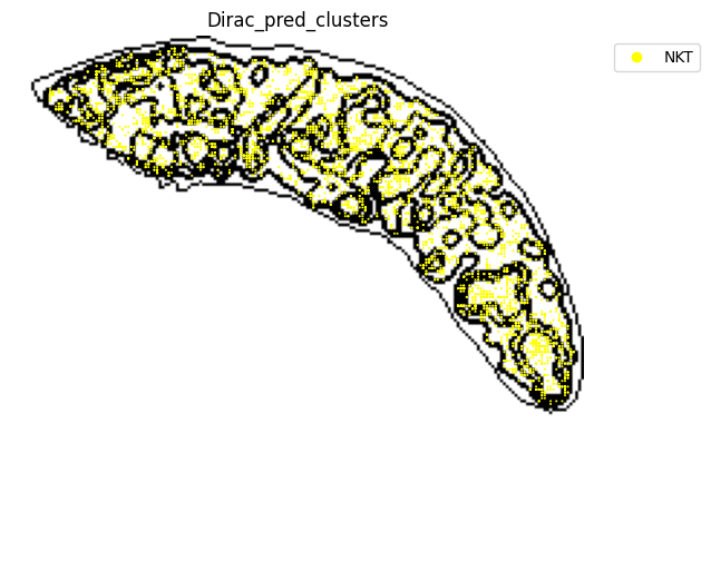 ../_images/notebooks_run_DIRAC_mouse_spleen_cellbin_50_15.png