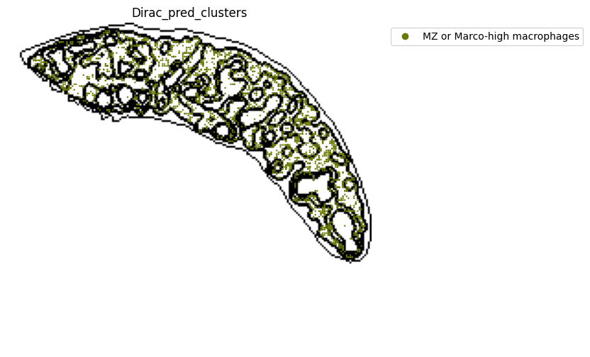 ../_images/notebooks_run_DIRAC_mouse_spleen_cellbin_50_3.png