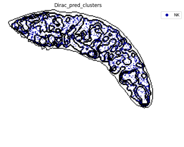 ../_images/notebooks_run_DIRAC_mouse_spleen_cellbin_50_4.png