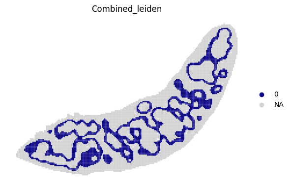 ../_images/notebooks_run_DIRAC_mouse_spleen_bin100_23_10.png
