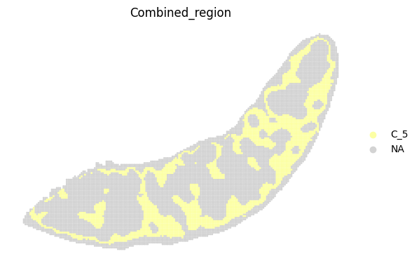 ../_images/notebooks_run_DIRAC_mouse_spleen_bin100_23_4.png