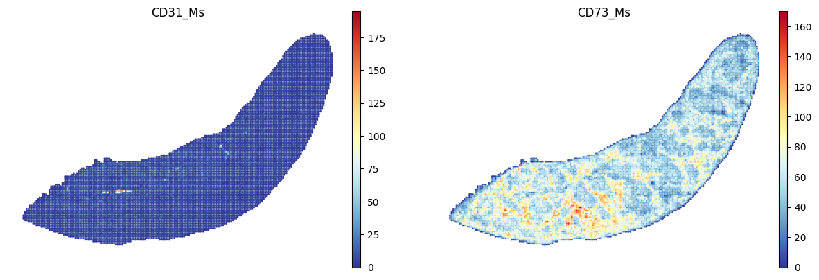 ../_images/notebooks_run_DIRAC_mouse_spleen_bin100_44_2.png