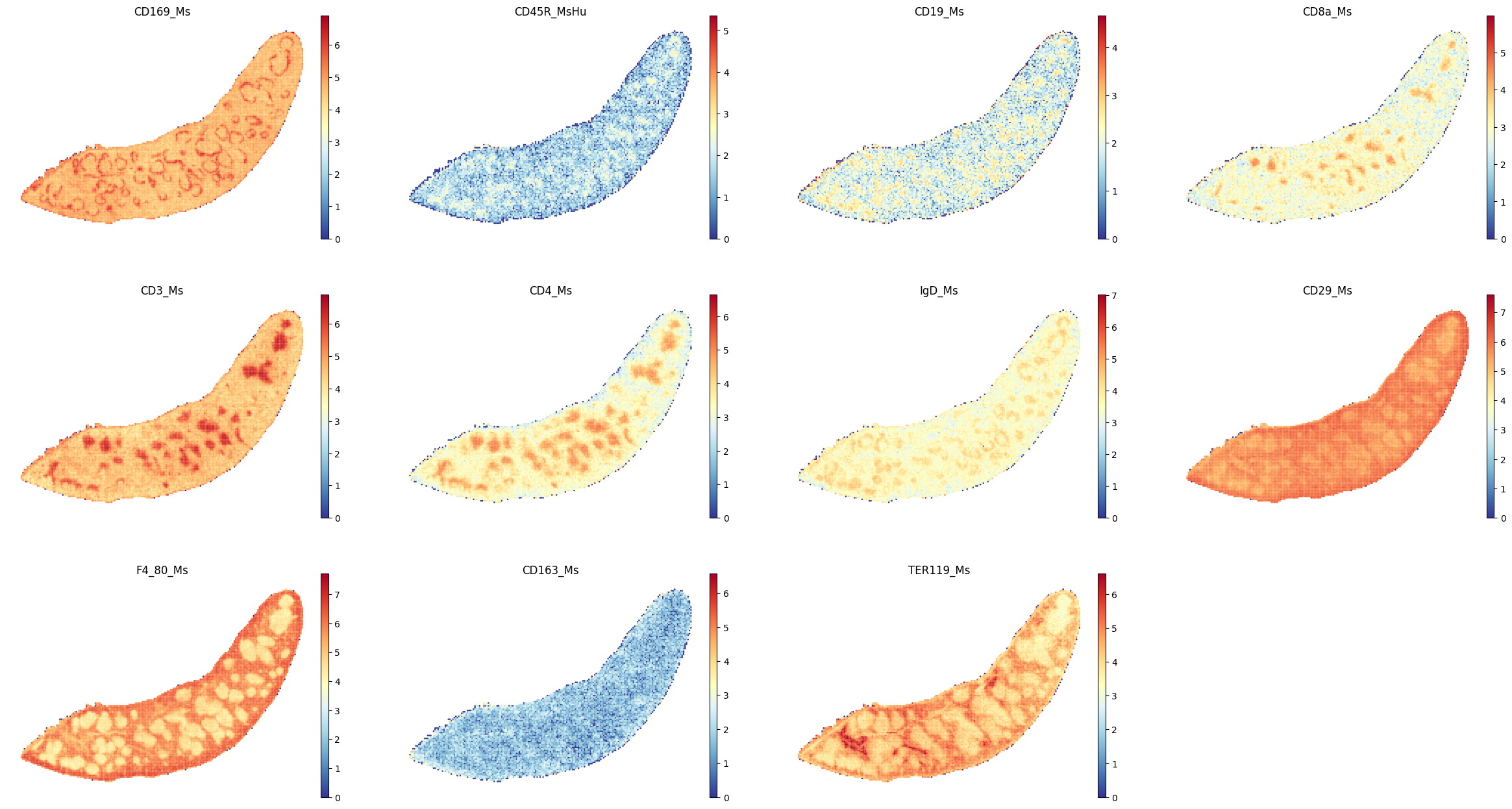 ../_images/notebooks_run_DIRAC_mouse_spleen_bin100_46_0.png