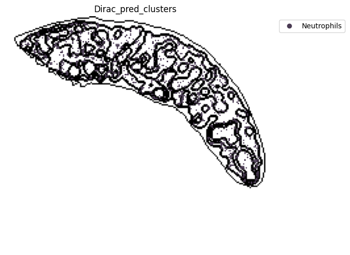 ../_images/notebooks_run_DIRAC_mouse_spleen_cellbin_29_10.png