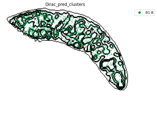../_images/notebooks_run_DIRAC_mouse_spleen_cellbin_29_14.png