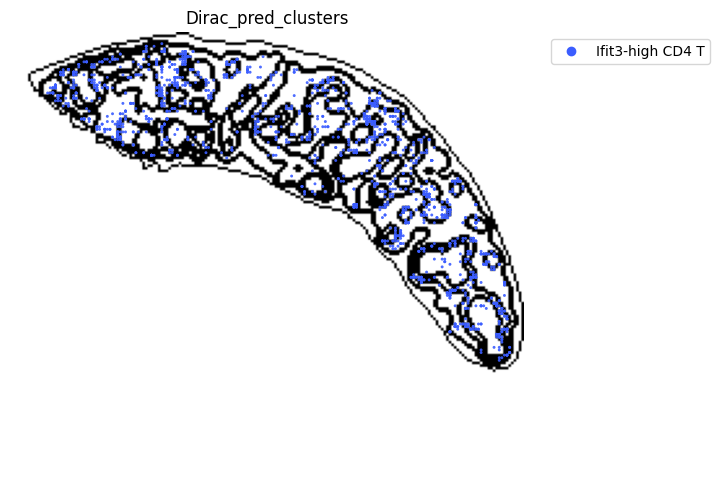 ../_images/notebooks_run_DIRAC_mouse_spleen_cellbin_29_20.png