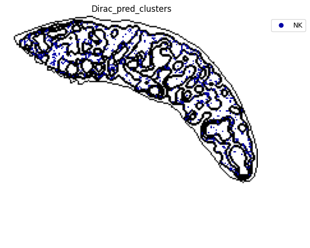 ../_images/notebooks_run_DIRAC_mouse_spleen_cellbin_29_21.png