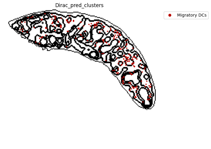 ../_images/notebooks_run_DIRAC_mouse_spleen_cellbin_29_23.png