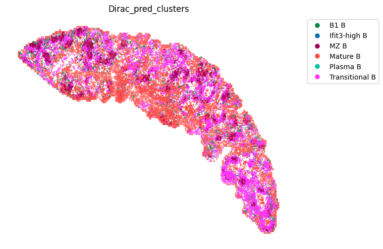 ../_images/notebooks_run_DIRAC_mouse_spleen_cellbin_40_2.png