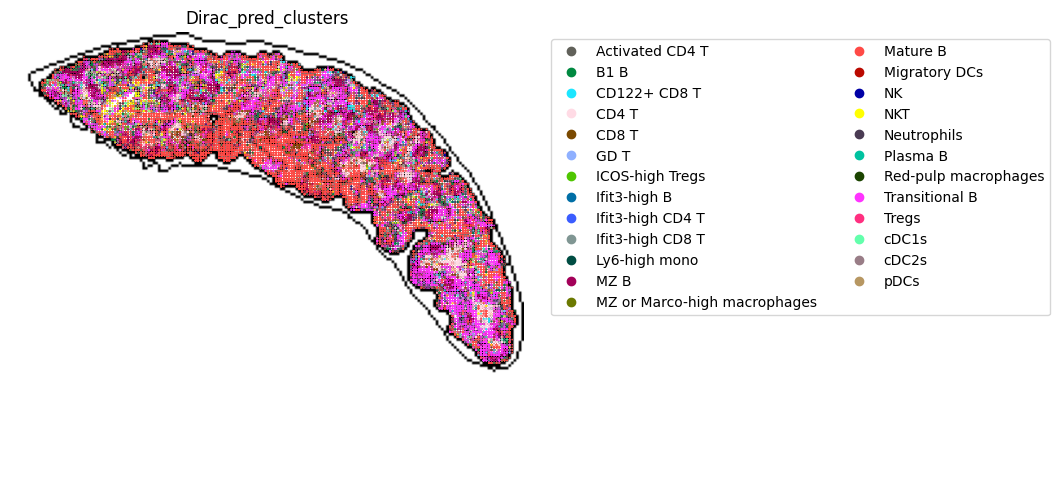 ../_images/notebooks_run_DIRAC_mouse_spleen_cellbin_41_0.png