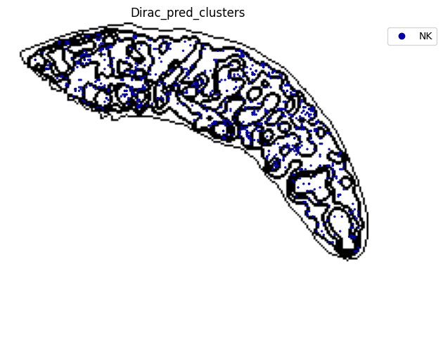 ../_images/notebooks_run_DIRAC_mouse_spleen_cellbin_41_15.png