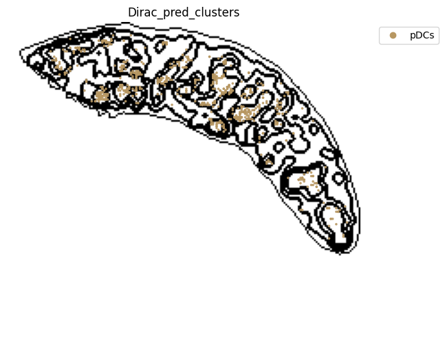 ../_images/notebooks_run_DIRAC_mouse_spleen_cellbin_41_18.png