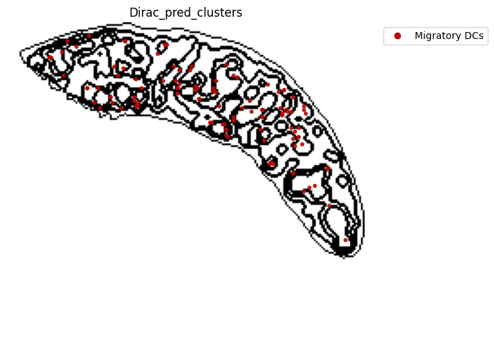 ../_images/notebooks_run_DIRAC_mouse_spleen_cellbin_41_23.png