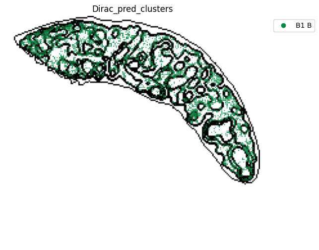 ../_images/notebooks_run_DIRAC_mouse_spleen_cellbin_41_5.png