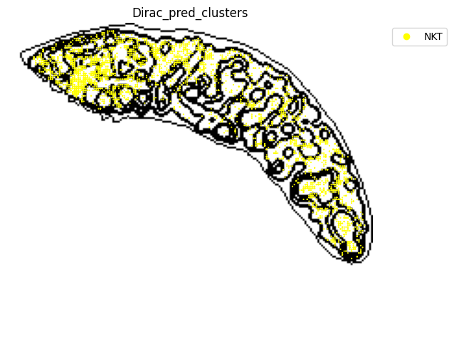 ../_images/notebooks_run_DIRAC_mouse_spleen_cellbin_41_6.png