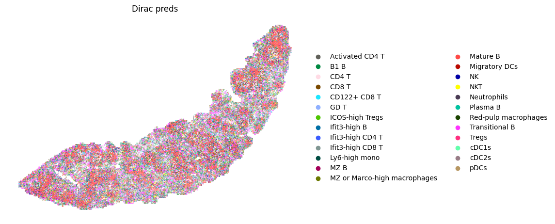 ../_images/notebooks_run_DIRAC_mouse_spleen_cellbin_49_1.png