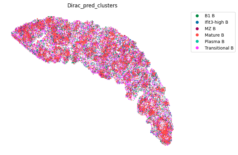 ../_images/notebooks_run_DIRAC_mouse_spleen_cellbin_49_2.png