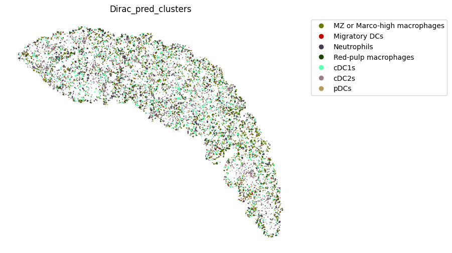 ../_images/notebooks_run_DIRAC_mouse_spleen_cellbin_49_4.png