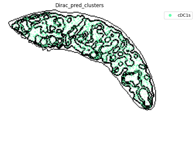 ../_images/notebooks_run_DIRAC_mouse_spleen_cellbin_50_16.png